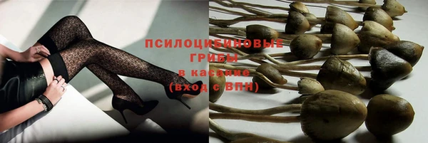 спайс Баксан