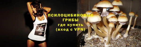 спайс Баксан