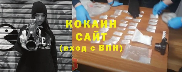 шишки Балабаново