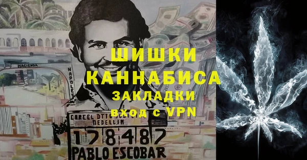 шишки Балабаново