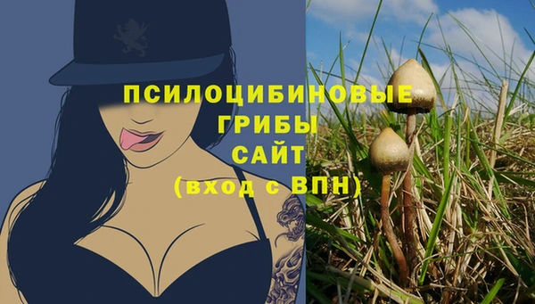 ECSTASY Балахна