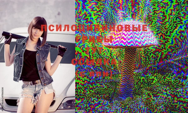 шишки Балабаново